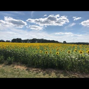 Meet your Posher, Chloe